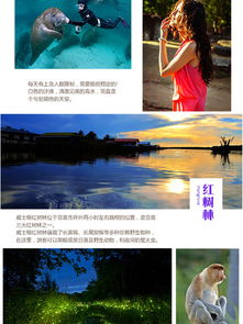 沙巴花享4晚6日半自助游 私享至美雙島，兩天泡湯兩天看海